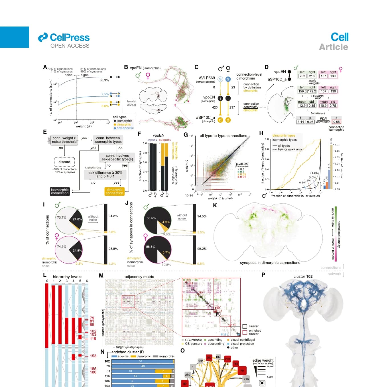 Figure 7 from the Cell paper showing neuronal pathways and comparative network analyses in the male Drosophila connectome.